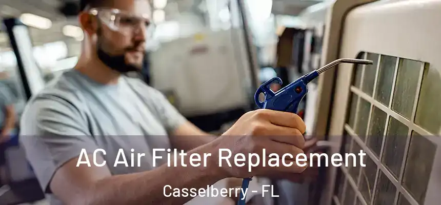 AC Air Filter Replacement Casselberry - FL