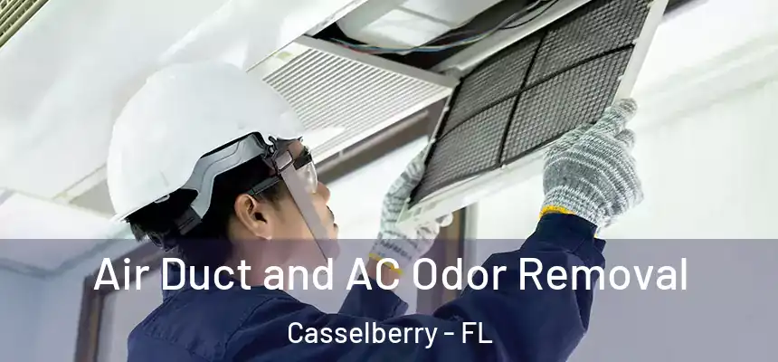 Air Duct and AC Odor Removal Casselberry - FL