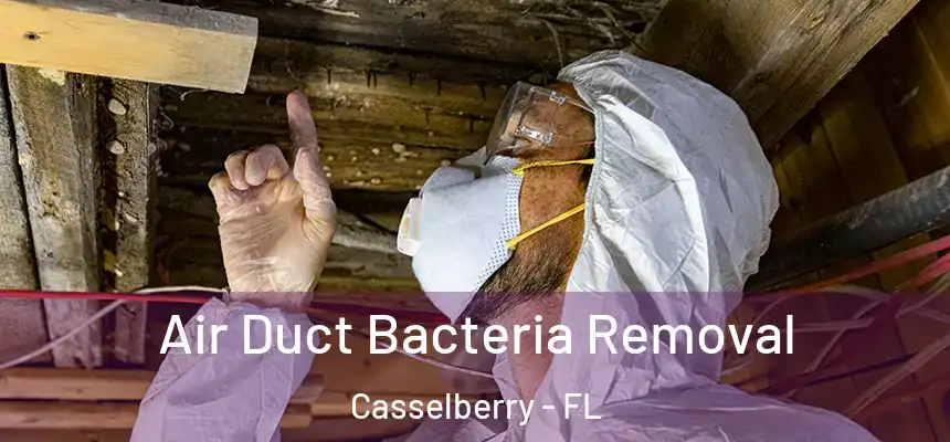 Air Duct Bacteria Removal Casselberry - FL