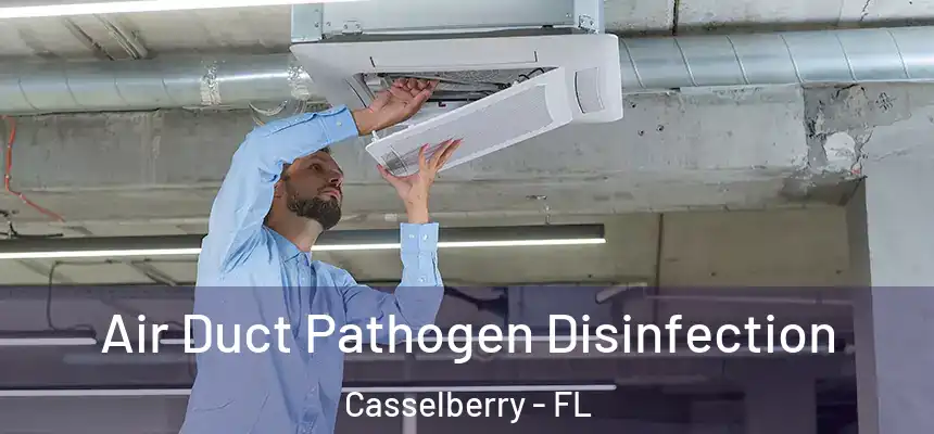 Air Duct Pathogen Disinfection Casselberry - FL