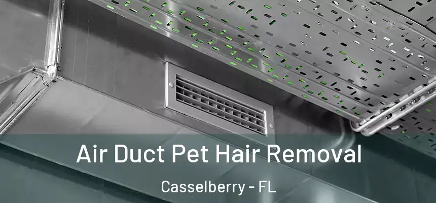 Air Duct Pet Hair Removal Casselberry - FL
