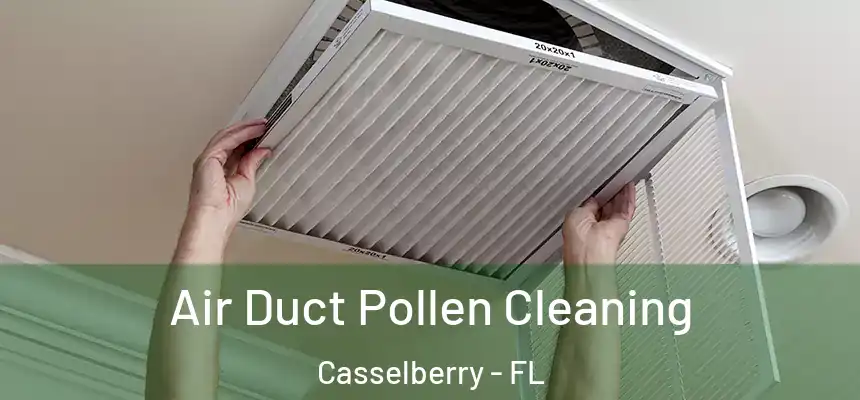 Air Duct Pollen Cleaning Casselberry - FL