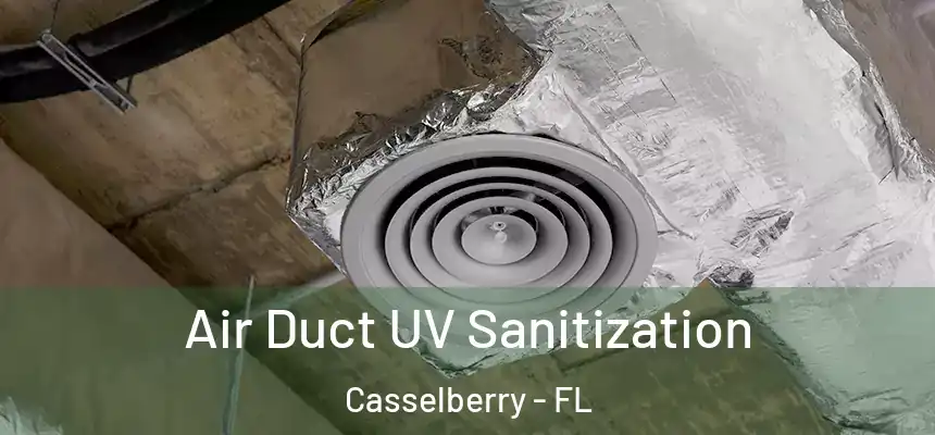 Air Duct UV Sanitization Casselberry - FL