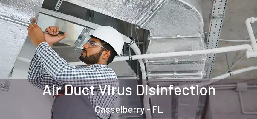 Air Duct Virus Disinfection Casselberry - FL