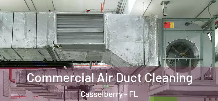 Commercial Air Duct Cleaning Casselberry - FL