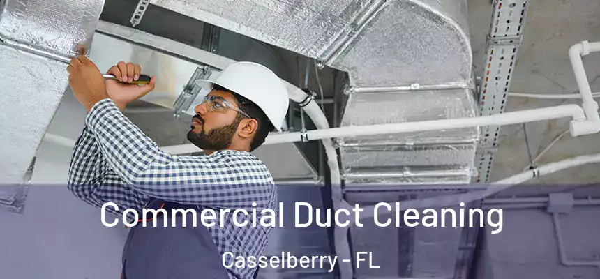 Commercial Duct Cleaning Casselberry - FL