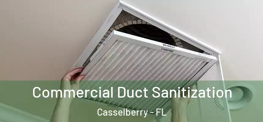 Commercial Duct Sanitization Casselberry - FL