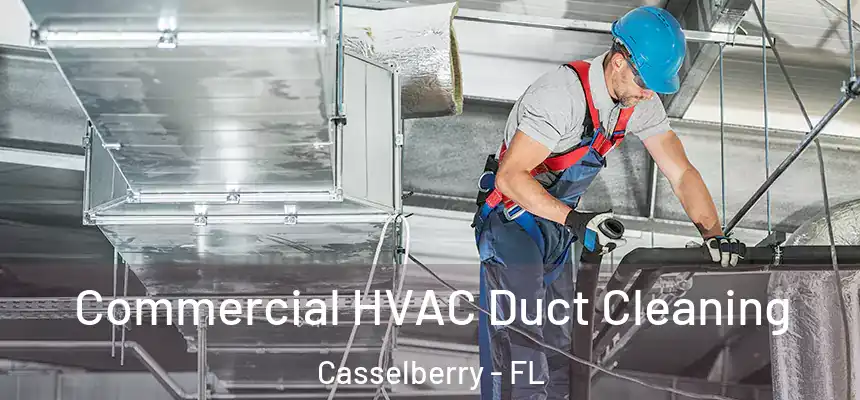 Commercial HVAC Duct Cleaning Casselberry - FL