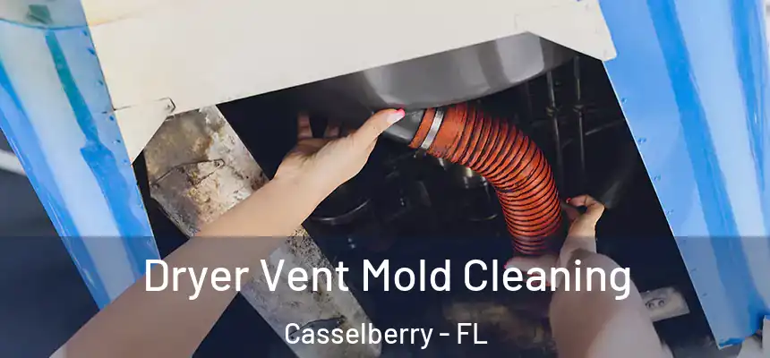 Dryer Vent Mold Cleaning Casselberry - FL
