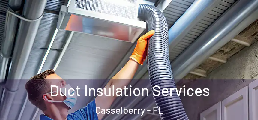 Duct Insulation Services Casselberry - FL
