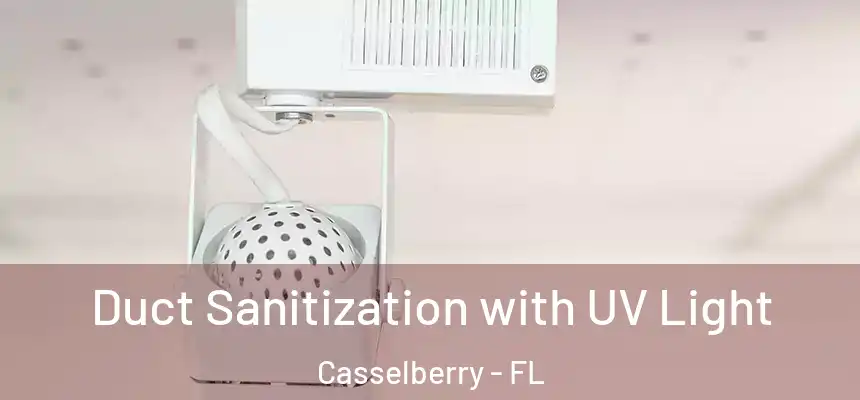 Duct Sanitization with UV Light Casselberry - FL