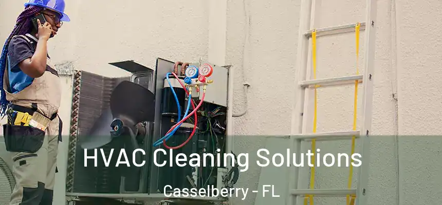 HVAC Cleaning Solutions Casselberry - FL