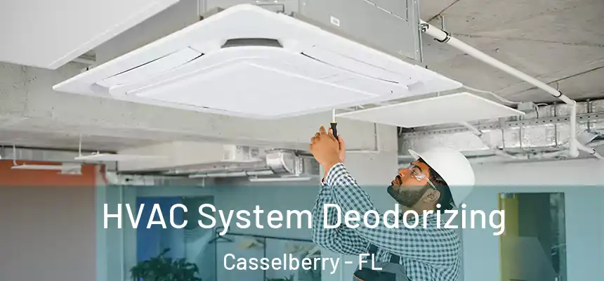 HVAC System Deodorizing Casselberry - FL