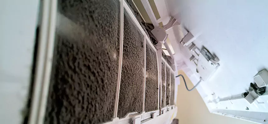 Preventive Air Duct Bacteria Removal in Casselberry