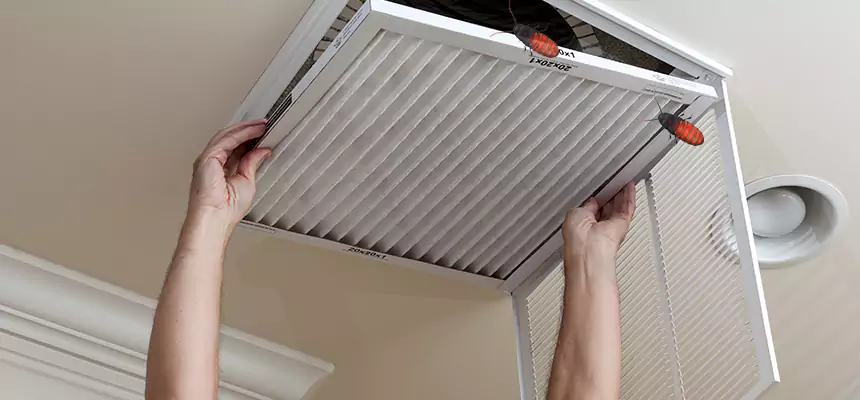 Preventive Cockroach-Proofing for Ducts in Casselberry