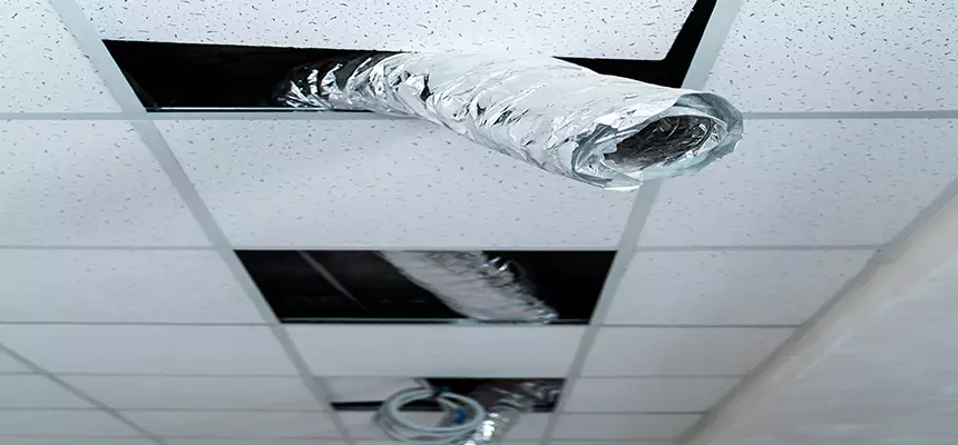 Our Air Duct Pet Hair Removal Services in Casselberry, FL