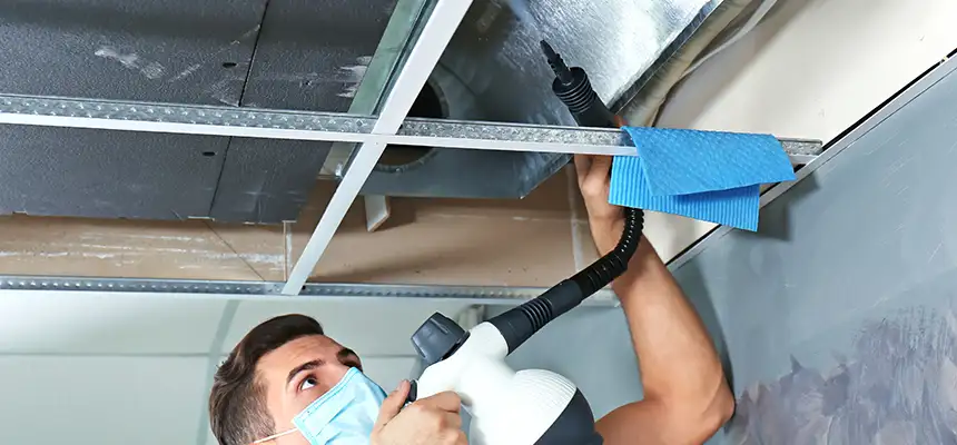 Our Air Duct Rodent Removal Services in Casselberry, FL