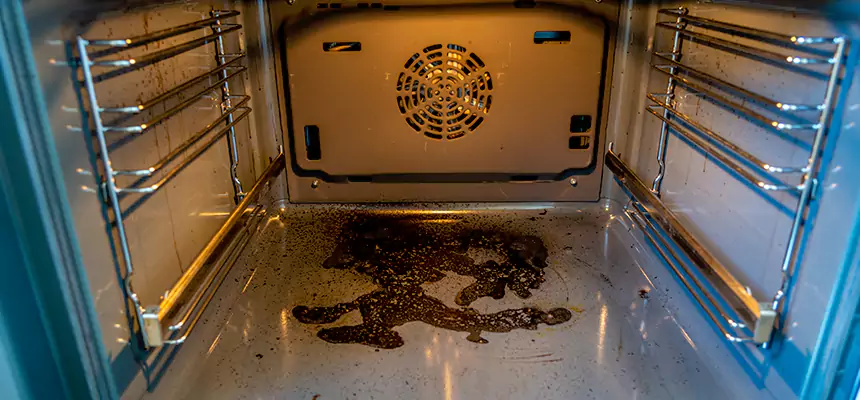 Our Dryer Vent Mold Cleaning Services in Casselberry, FL