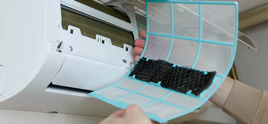 Gentle Ductwork Odor-Control Pet Dander Duct Cleaning in Casselberry, FL