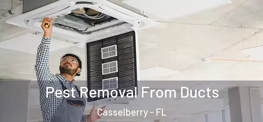 Pest Removal From Ducts Casselberry - FL