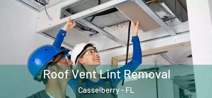 Roof Vent Lint Removal Casselberry - FL