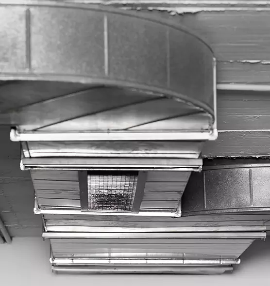 Professional Air Duct Pet Hair Removal in Casselberry, FL