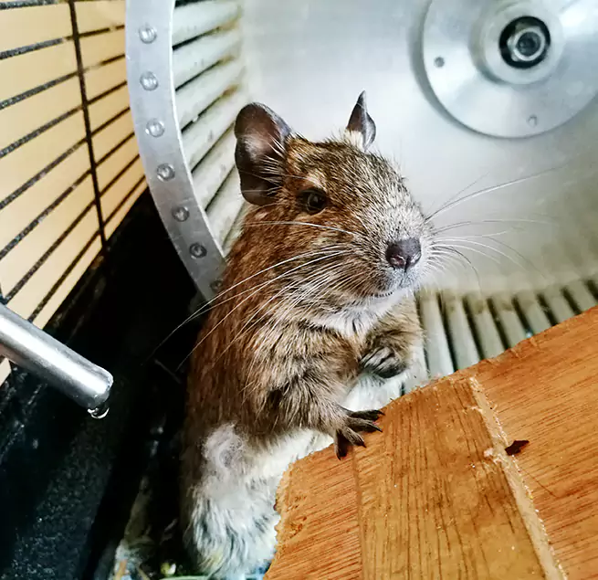 Why Homeowners & Businesses Trust Us Casselberry, FL?