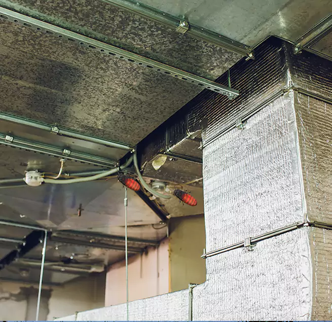 Why Homeowners & Businesses Trust Us Casselberry, FL?