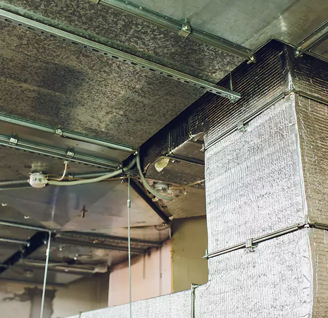 Why Homeowners & Businesses Trust Us in Casselberry, FL?