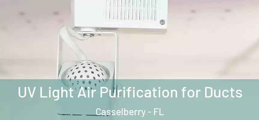 UV Light Air Purification for Ducts Casselberry - FL